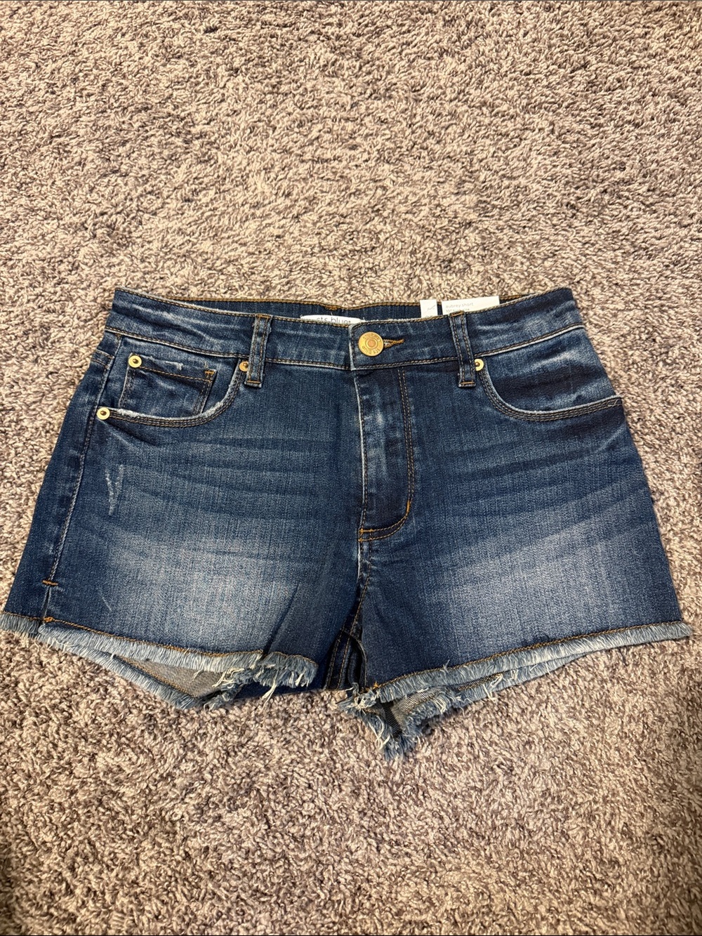 STS Blue Distressed Dark Wash Denim Shorts